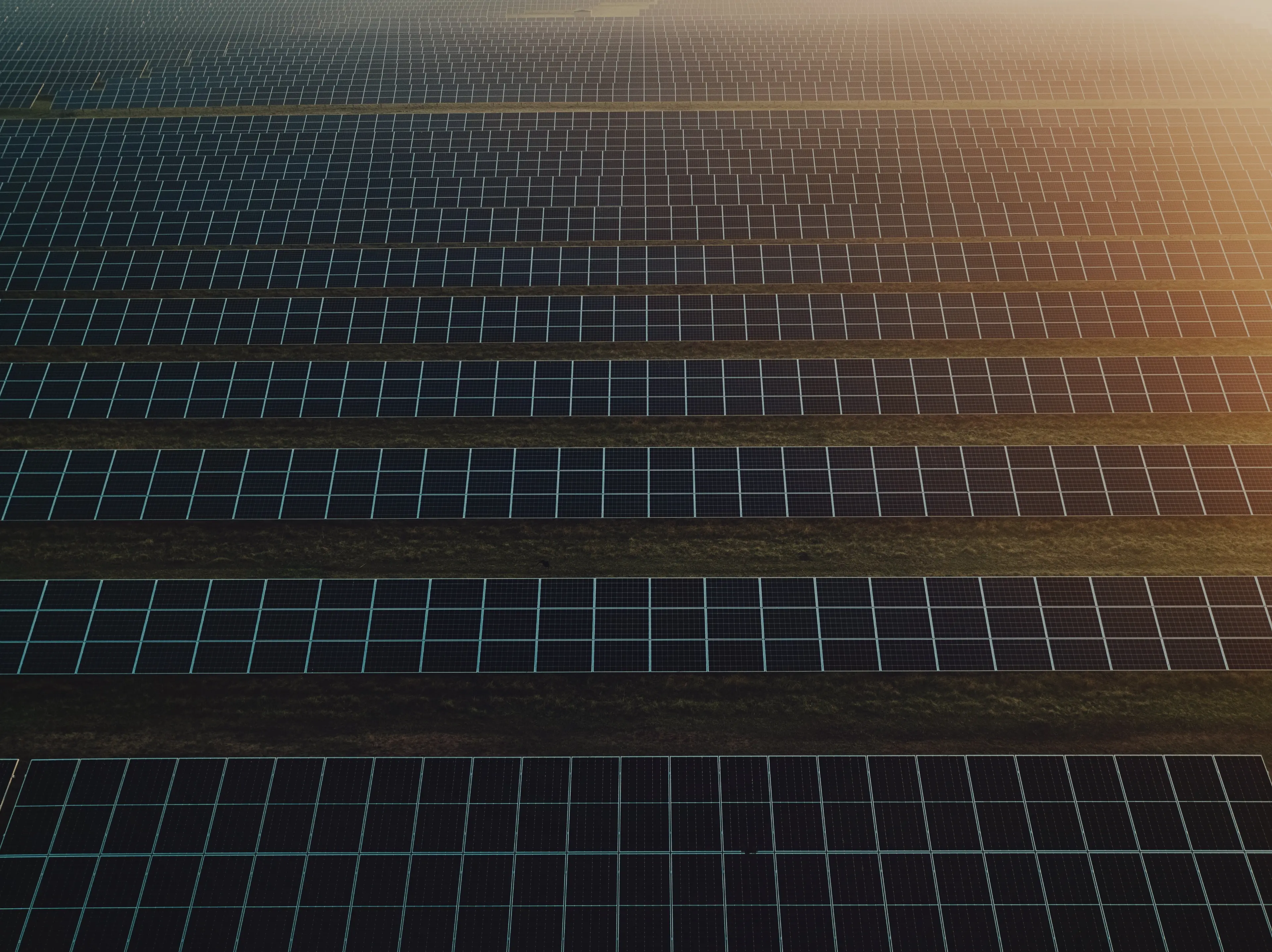 Svea Solar skalar upp och bygger Sveriges två största solparker