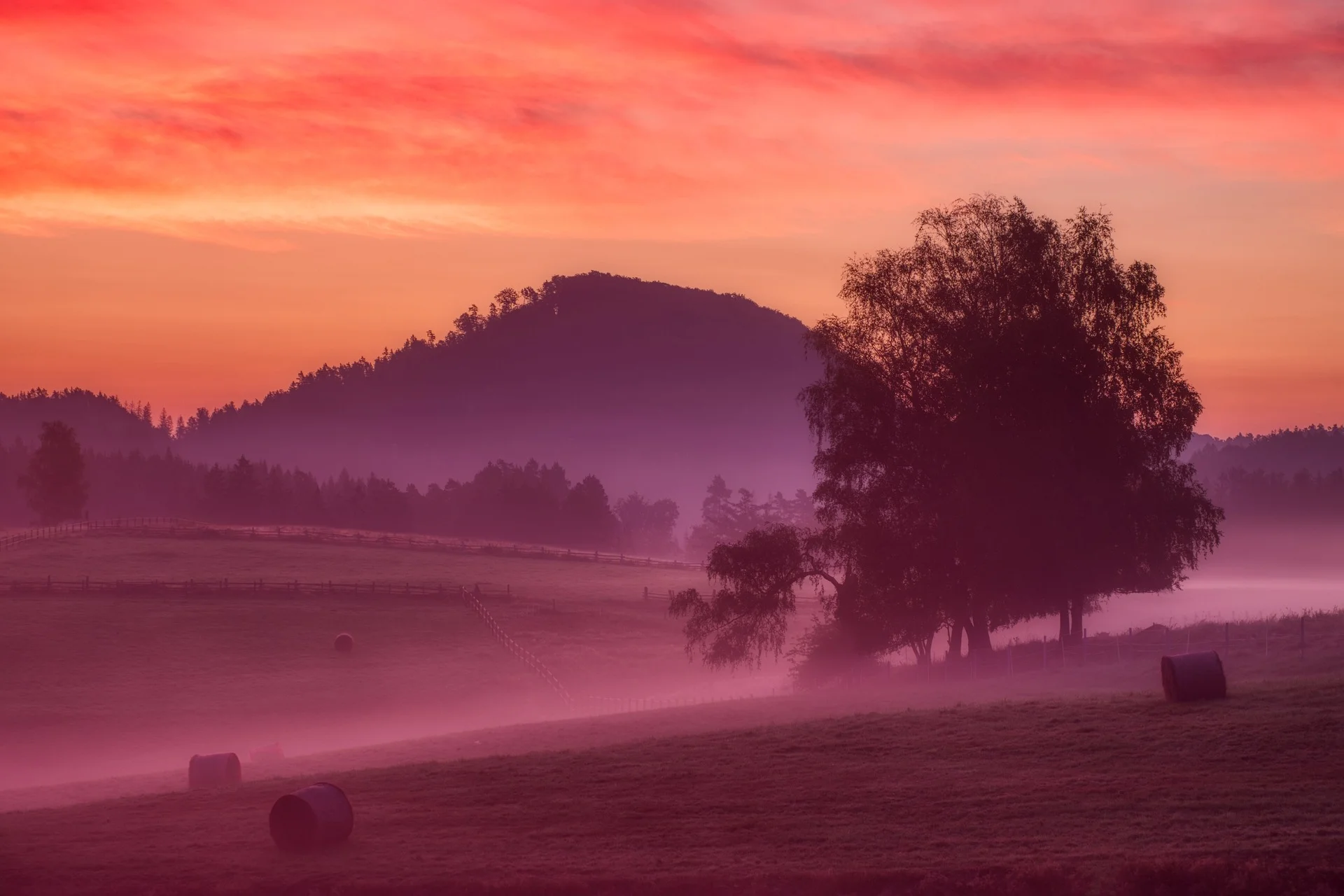 Sonnenaufgang über einem vernebelten Feld.