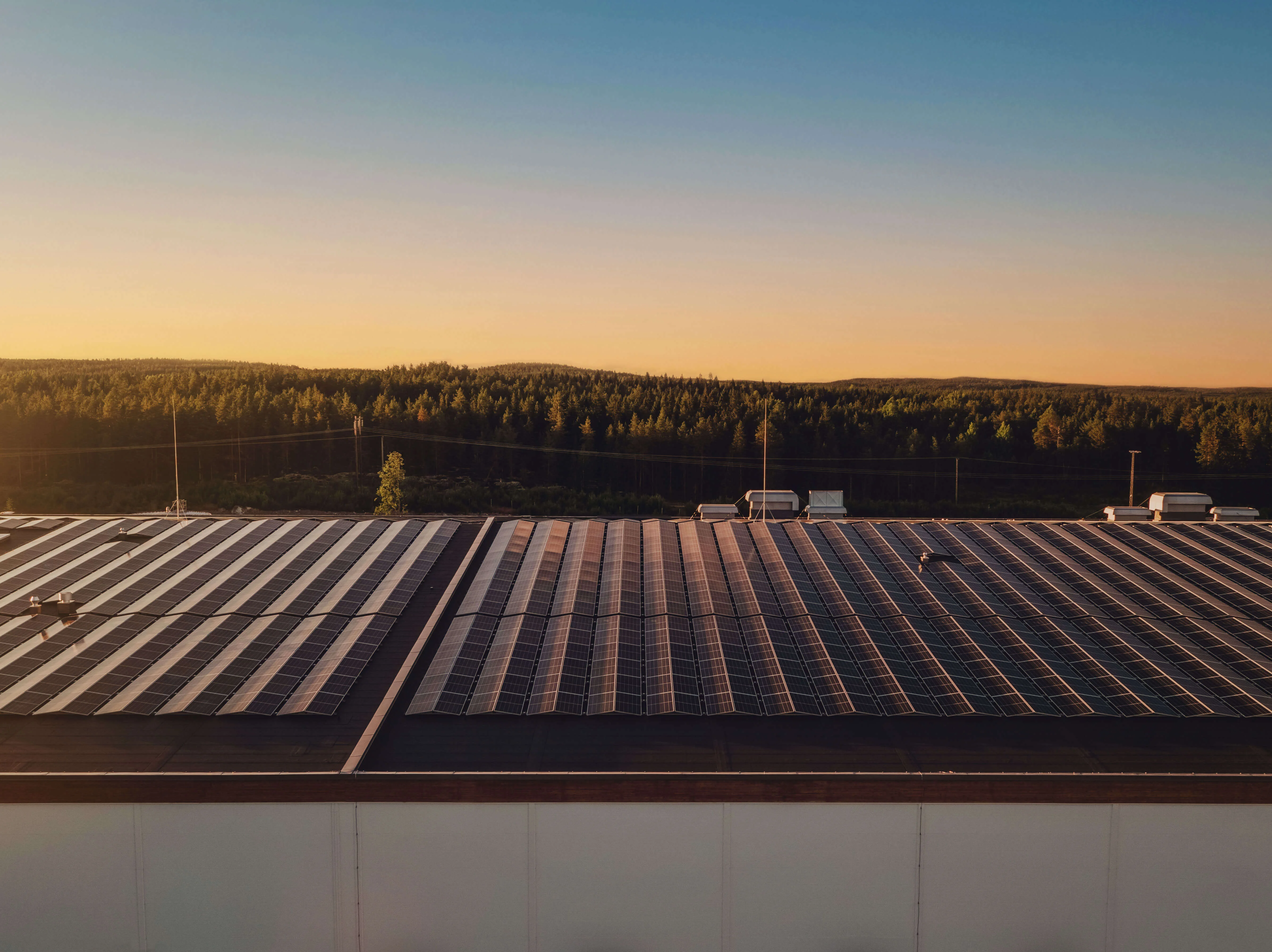 Groot veld met zonnepanelen voor een bedrijf