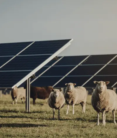 Svea Solar Utility secures up to EUR 185 million financing facility to support growth of its renewable energy IPP platform
