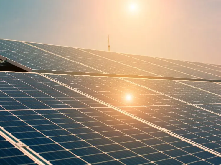 Incentivi fotovoltaico per le aziende nel 2025: il contributo a fondo perduto