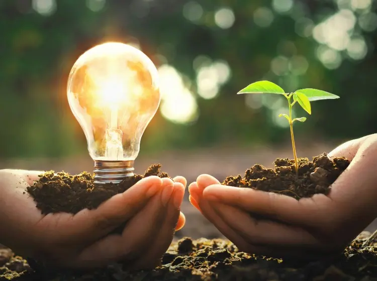 Quali sono le principali fonti di energia rinnovabile e come possono ridurre l’inquinamento?