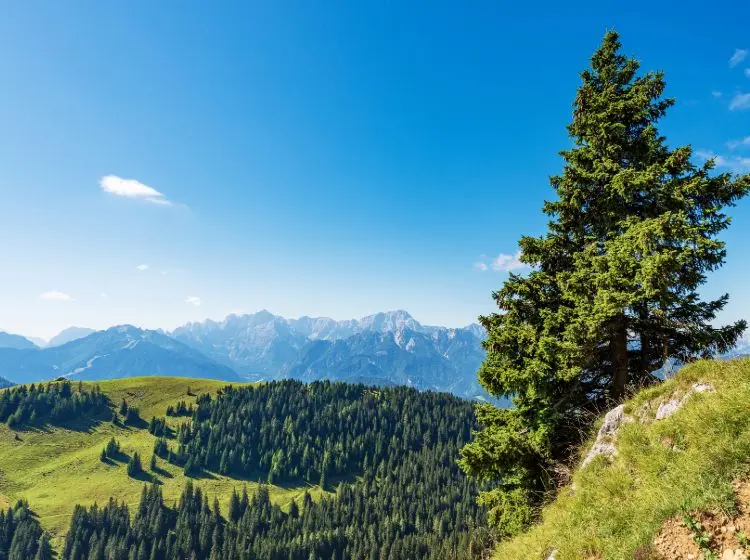 Il fotovoltaico in Friuli-Venezia Giulia nel 2025