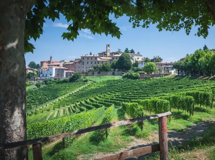 Going solar in Italy: photovoltaic in italy