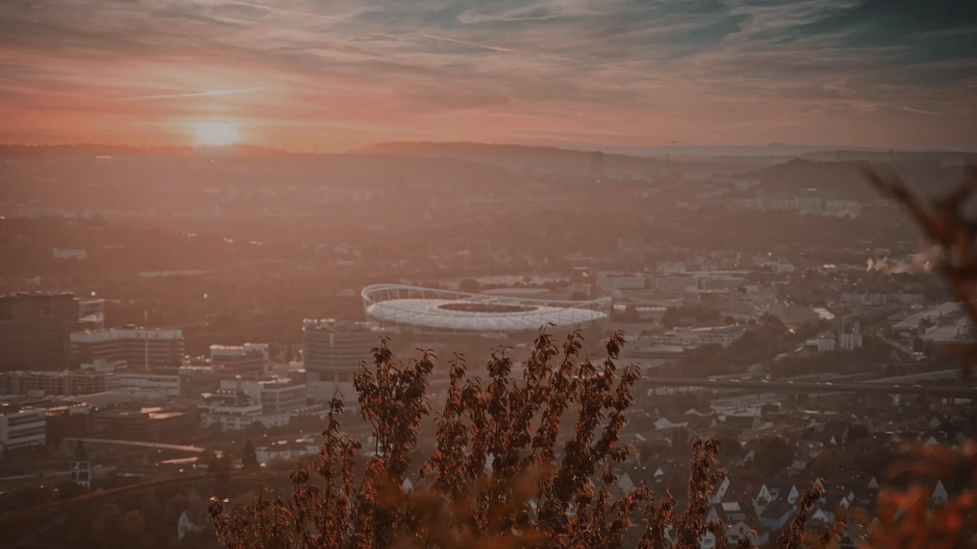 Blick über eine Stadtlandschaft bei Sonnenuntergang mit Stadion in der Bildmitte, im Vordergrund herbstliche Pflanzen.