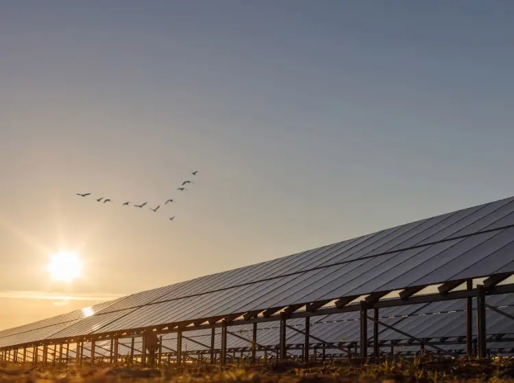 Decreto FER X: cosa prevede e perché è un’opportunità per chi investe nel fotovoltaico