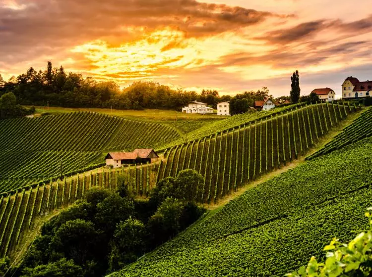 Fotovoltaico in Italia: la situazione in Toscana