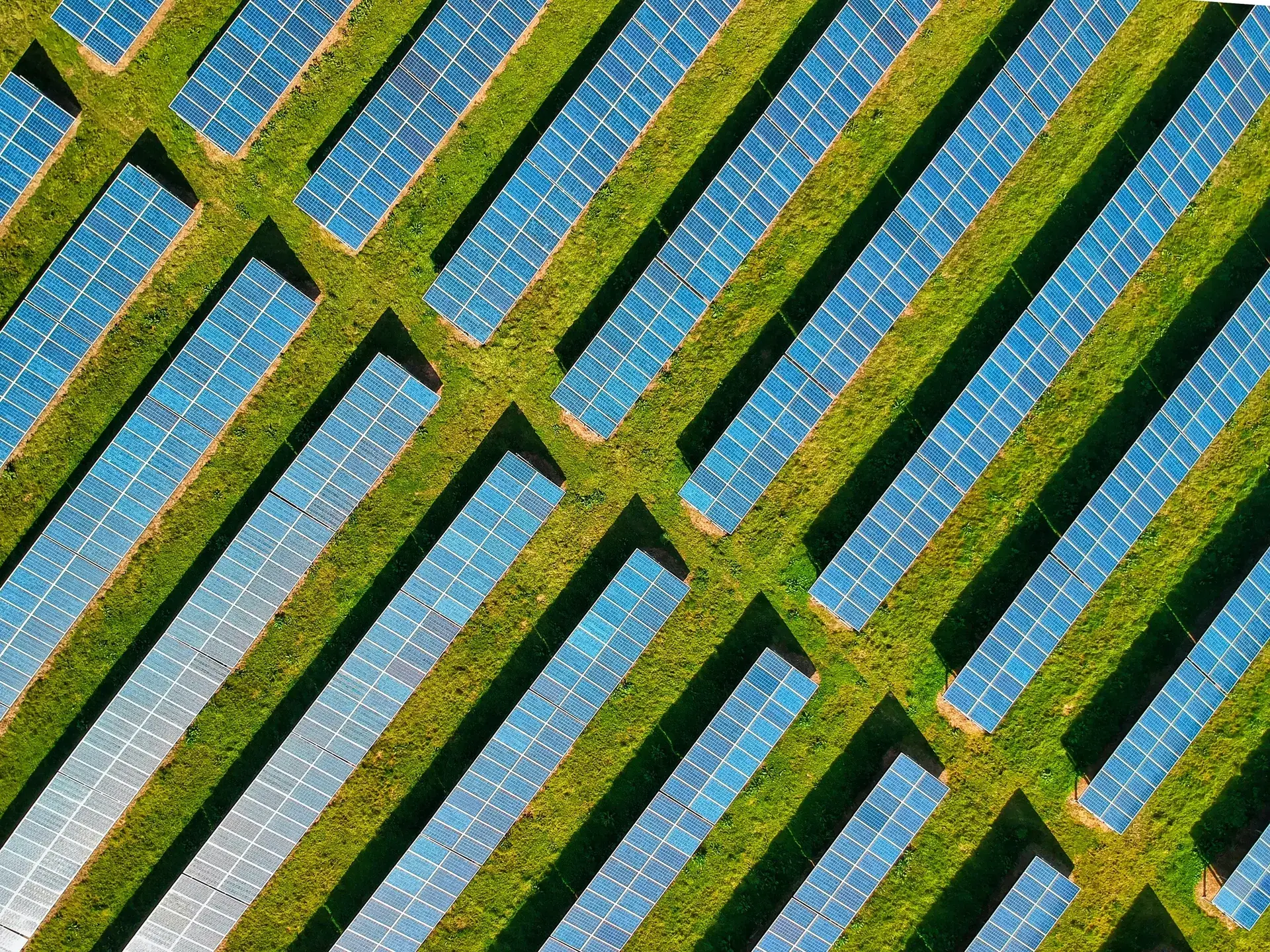 Solarenergie – Die Energie der Zukunft?