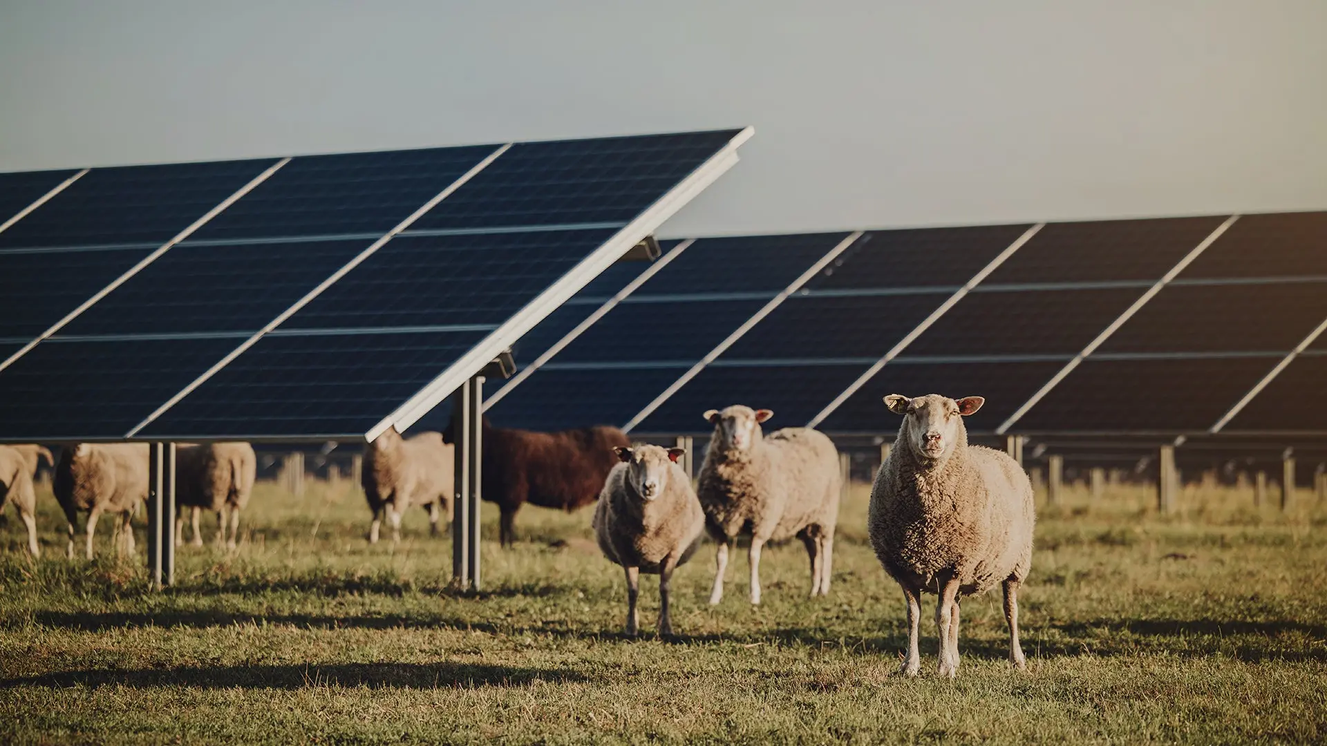 Unsere Photovoltaik Zukunft