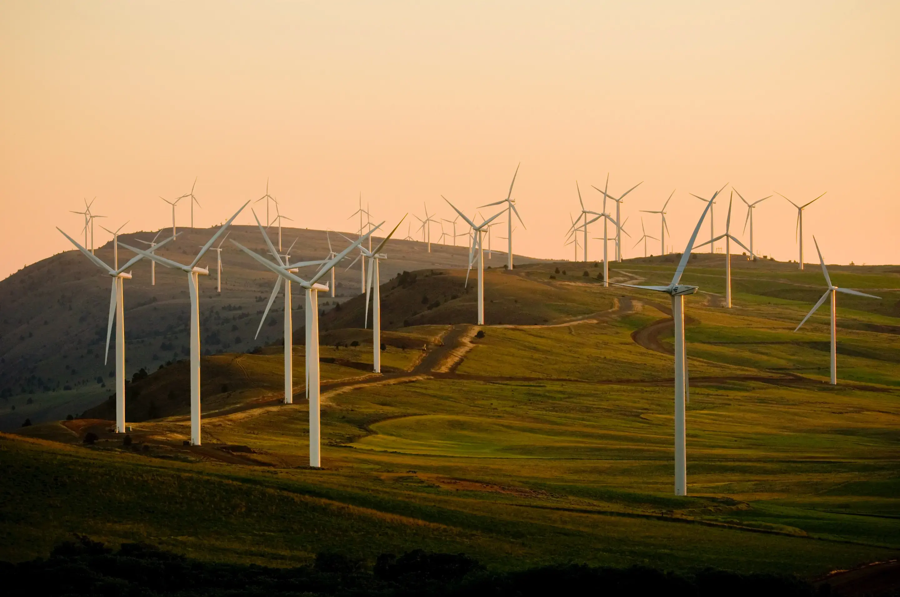 5 tipos de energías renovables